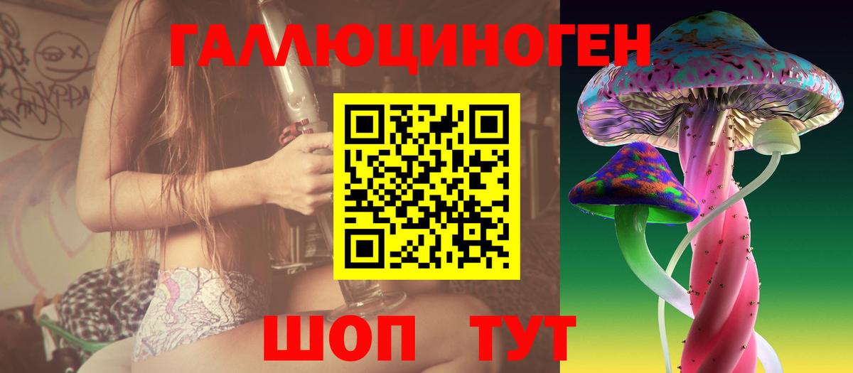 где найти   Вход с VPN  Галлюциногенные грибы GOLDEN TEACHER  Курчалой  Псилоцибиновые грибы Psilocybe 